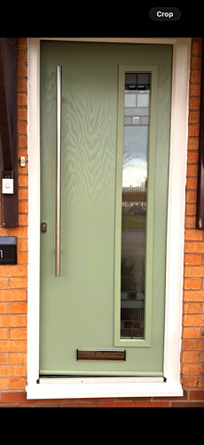 Modern green front - modern, entrance
